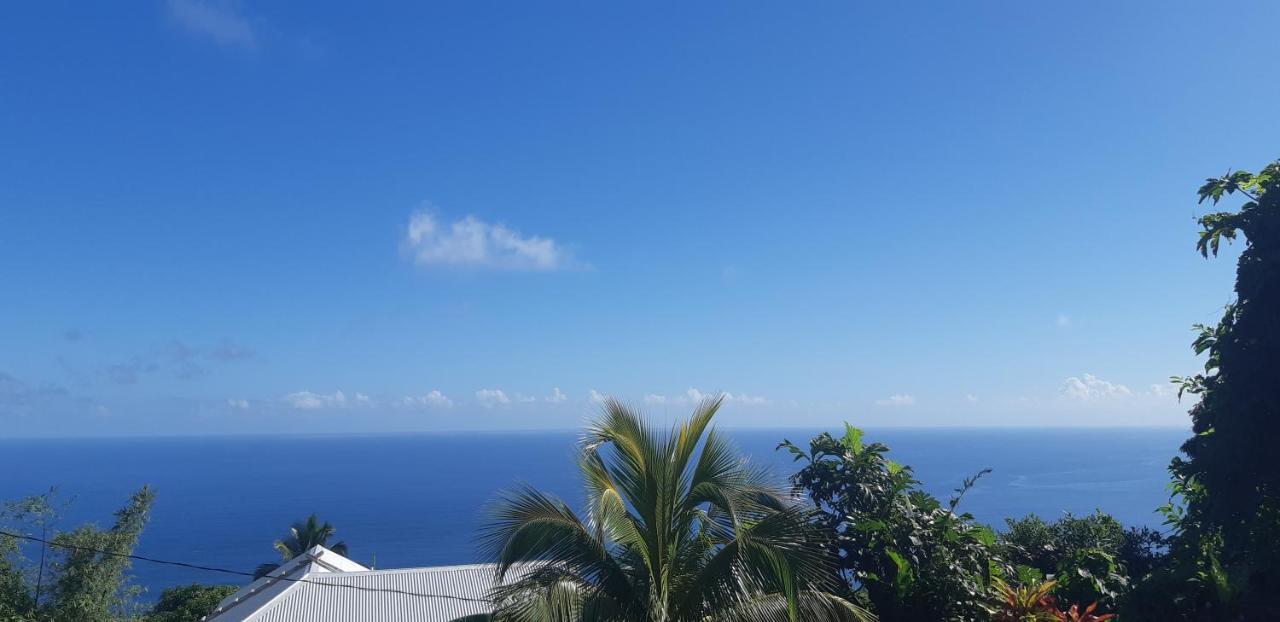 "Sunrise Inn" Nature Island Dominica Penville Exterior photo