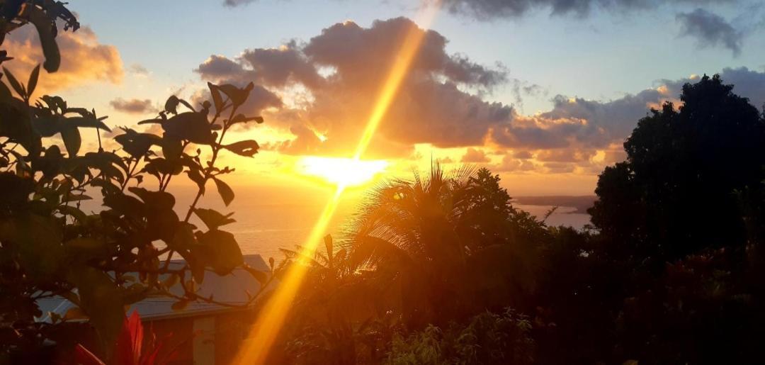 "Sunrise Inn" Nature Island Dominica Penville Exterior photo